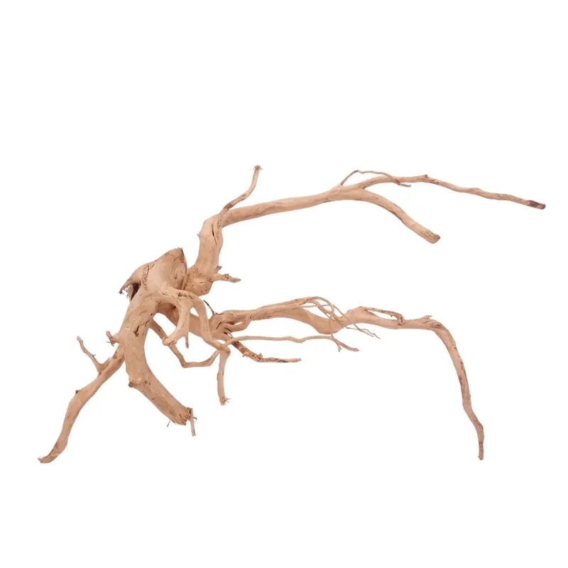 XXL Moorkienwurzel Nr.4297 Holz Deko Aquascaping Knallerangebot