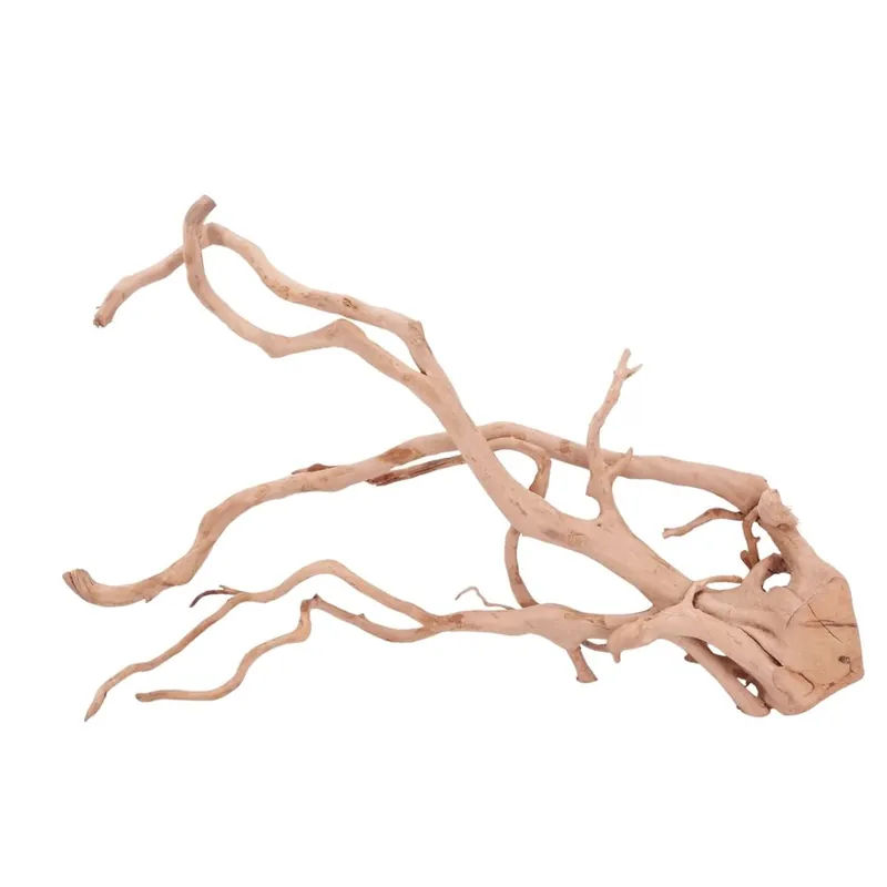 XXL Moorkienwurzel Nr.4315 Holz Deko Aquascaping Bestseller