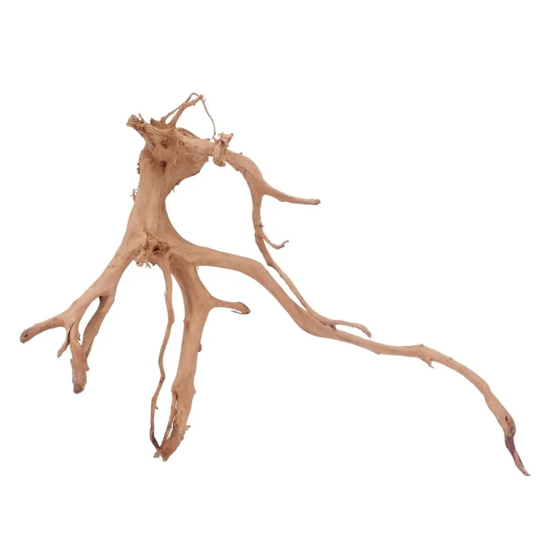 Knallerangebot XXL Moorkienwurzel Nr.4324 Holz Deko Aquascaping