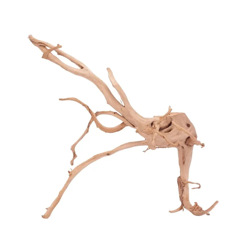 XXL Moorkienwurzel Nr.4326 Holz Deko Aquascaping Angebot