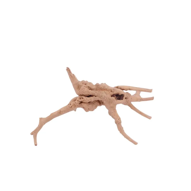 M Moorkienwurzel Nr.4384 Holz Deko Aquascaping Highlight