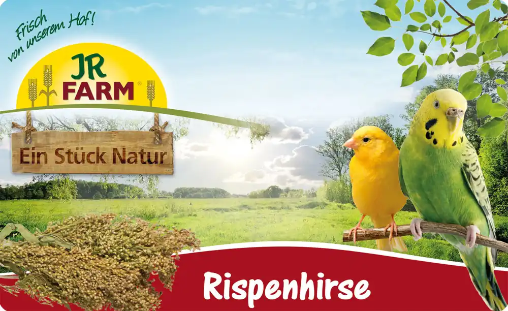 Letzte Chance JR FARM Birds Rispenhirse 100g Vogelsnack
