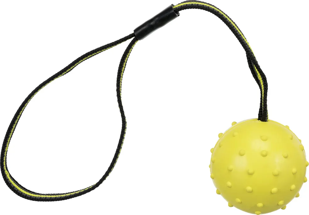 Online Kaufen TRIXIE Sporting Ball Gurt