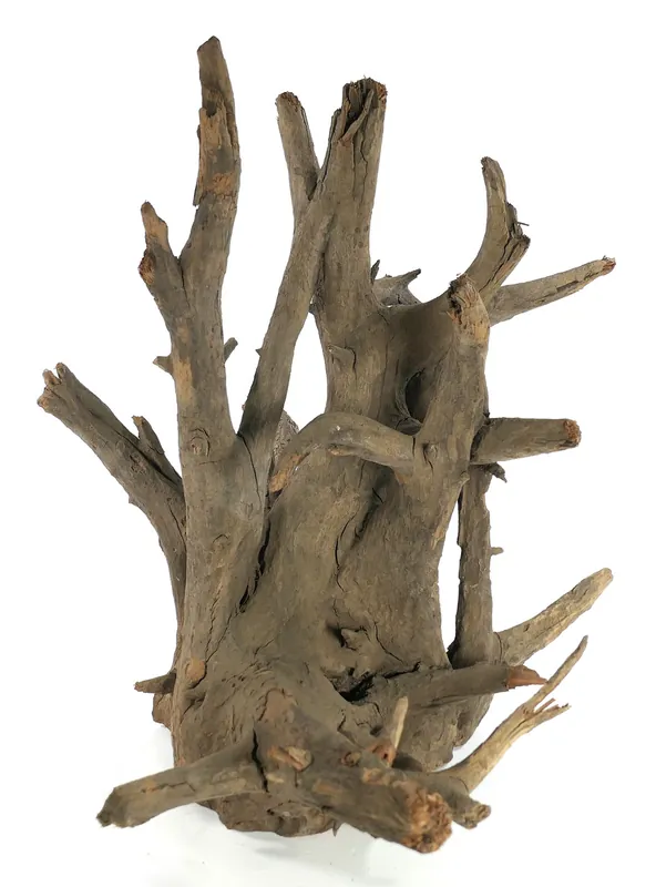 ORBIT CORBO WOOD S 30-35 cm Jetzt Kaufen