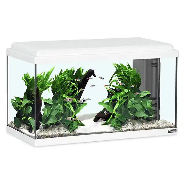 aquatlantis Advance 60 LED Set weiß Geprüft