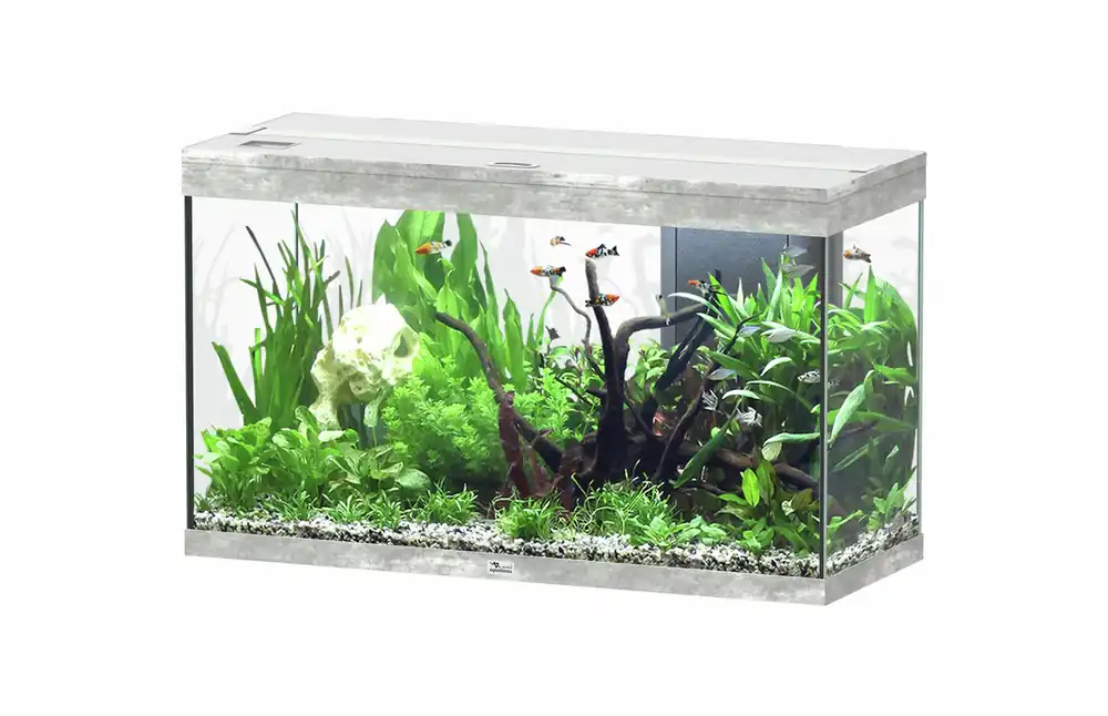 Mega-Angebot aquatlantis Splendid Ultra 200 Steinoptik Aquarium