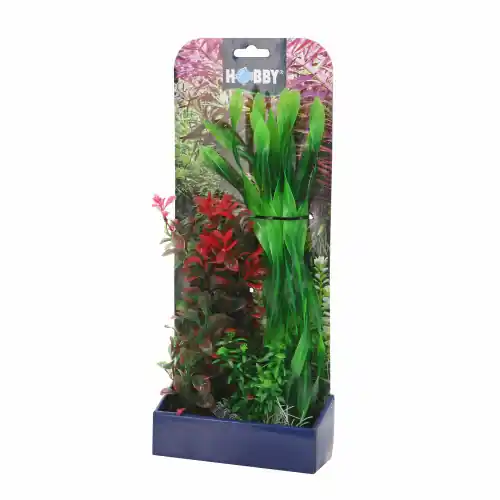 HOBBY Plantasy Set 2 Preisknaller