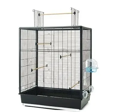 SAVIC Vogelheim Primo 60 Open Empire Knock Down Meistverkauft