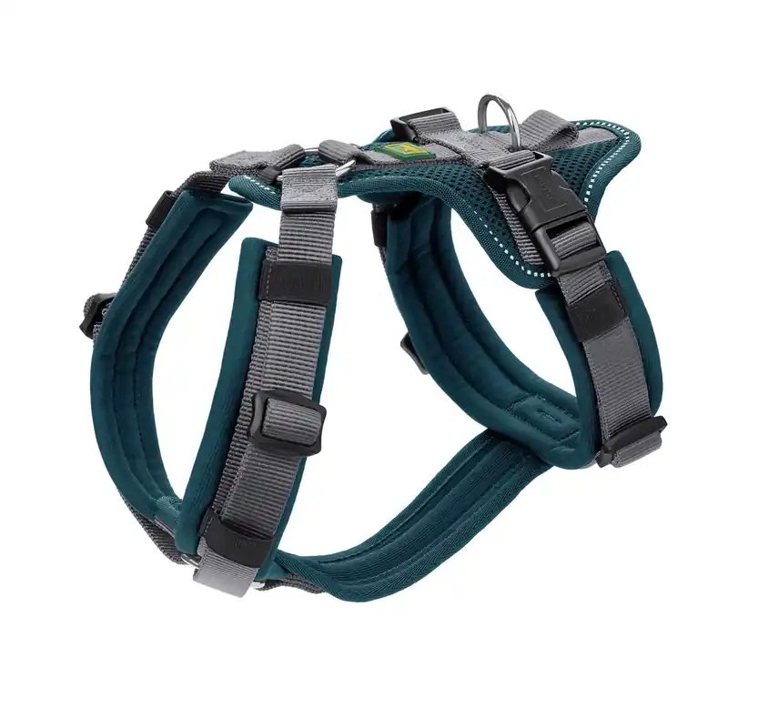 Beliebt Hunter Geschirr Sicherheit Maldon L / 69 - 105 Centimeter petrol Hundegeschirr