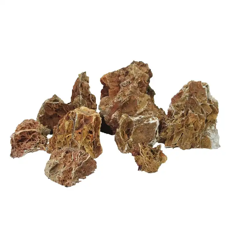 Begrenztes Angebot AQUA DELLA Scorro M ca. 1,4 kg