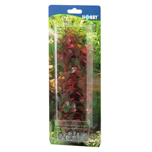 Letzte Chance HOBBY Plant Ludwigia 25 Centimeter Aquarieneinrichtung