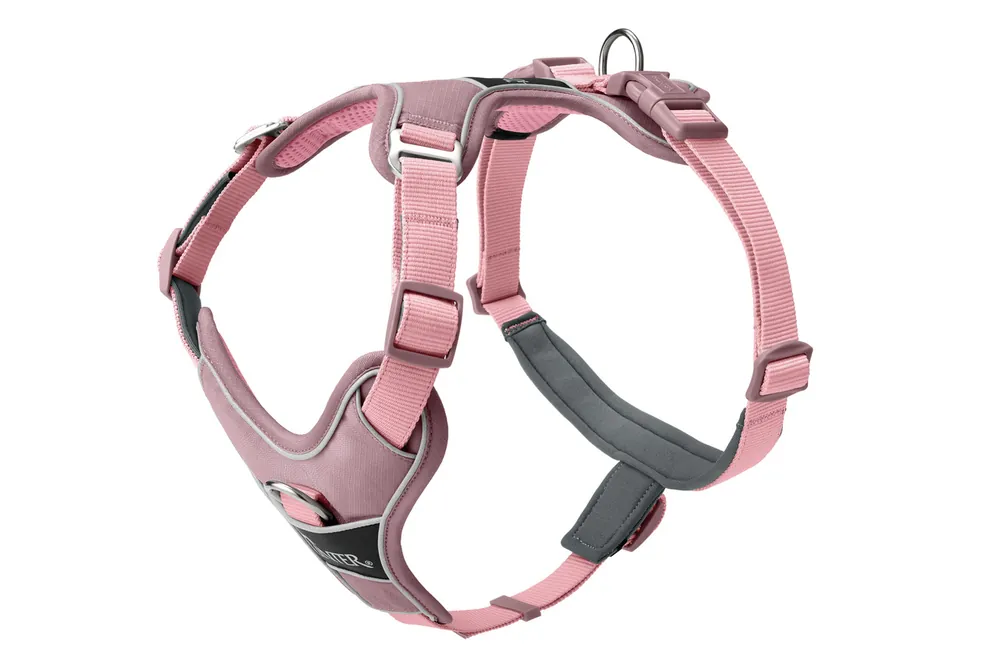 Preiswert HUNTER Geschirr Divo Up 79-107/L-XL altrosa