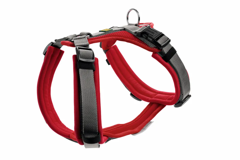 HUNTER Geschirr Maldon Up 37-53 / XS-S rot/grau Ausverkauf