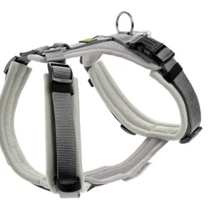 Versand Am Gleichen Tag HUNTER Geschirr Maldon Up 37-53 / XS-S hellgrau/grau