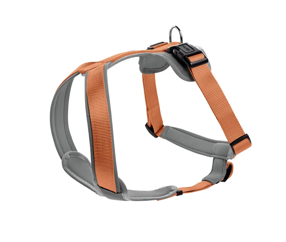 Aktuell HUNTER Geschirr Neopren 45-57/S kupfer/grau