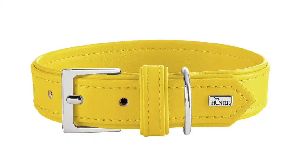 HUNTER Halsband Amalfi 35/XS gelb Nur Heute