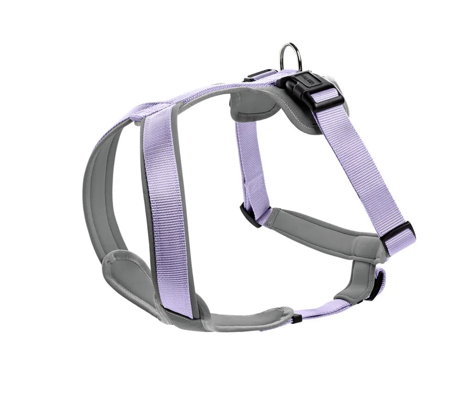 Top-Preis HUNTER Geschirr Neopren 45-57/S lavendel/grau