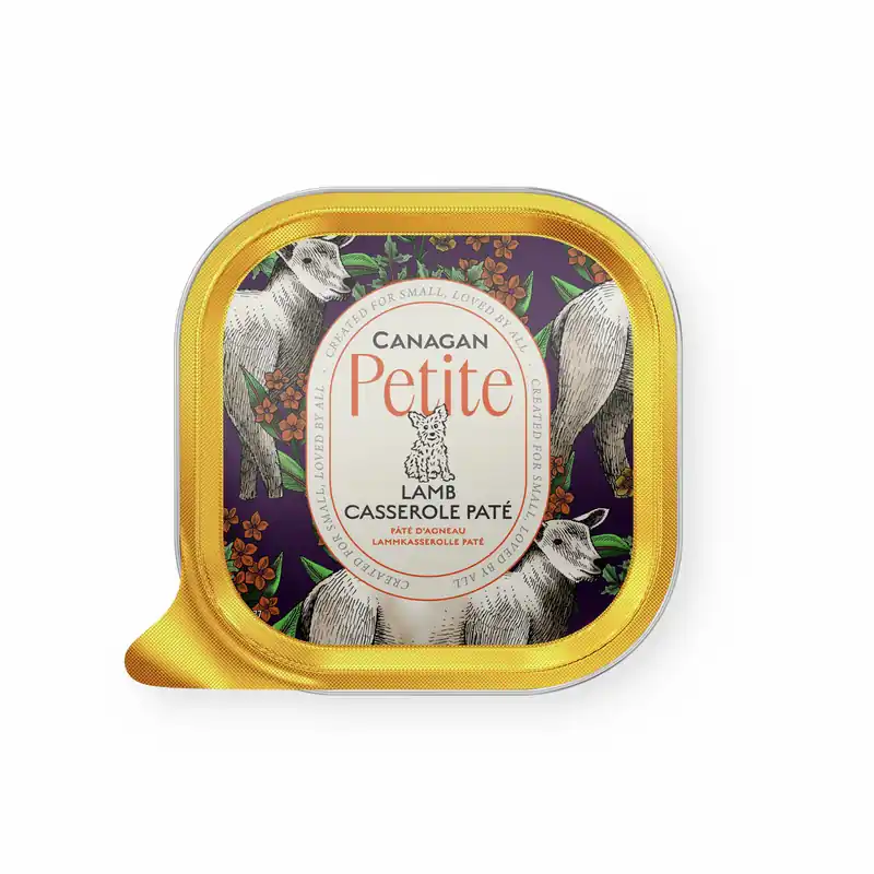 Nur Heute Canagan Petite Lamm Casserole Pate 100 g