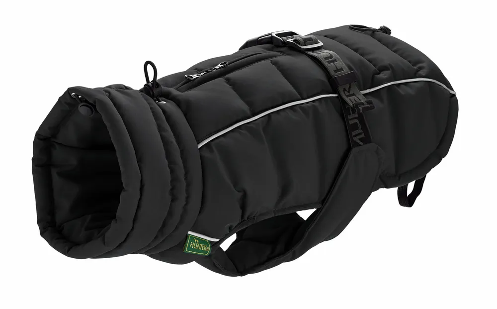 Aktuell HUNTER Hundemantel Paxson 75 schwarz