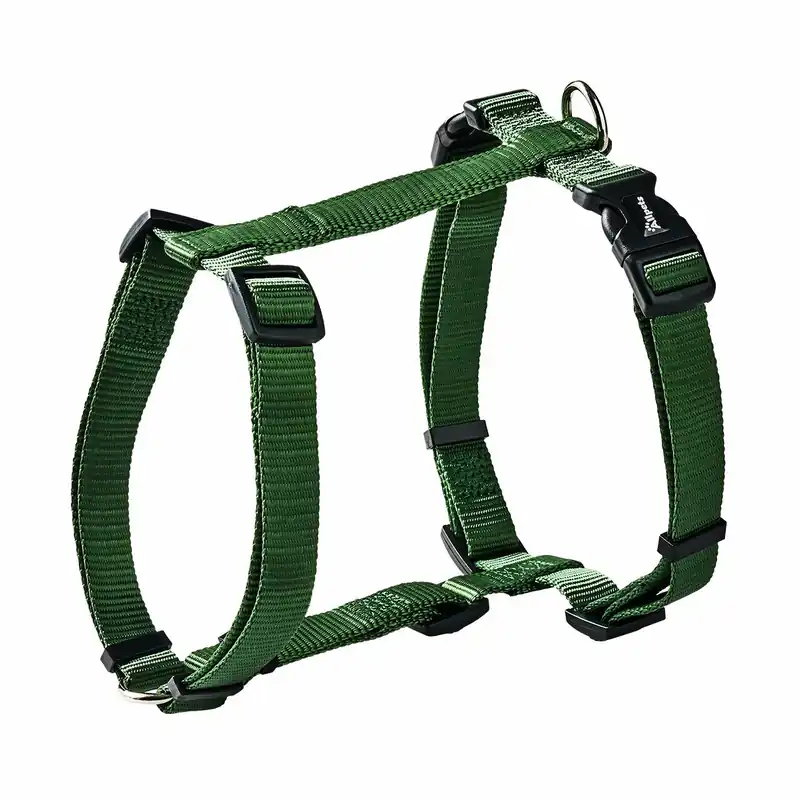 Allpets Classy Geschirr L–XL 75–120 cm / 25 mm green Nur Heute