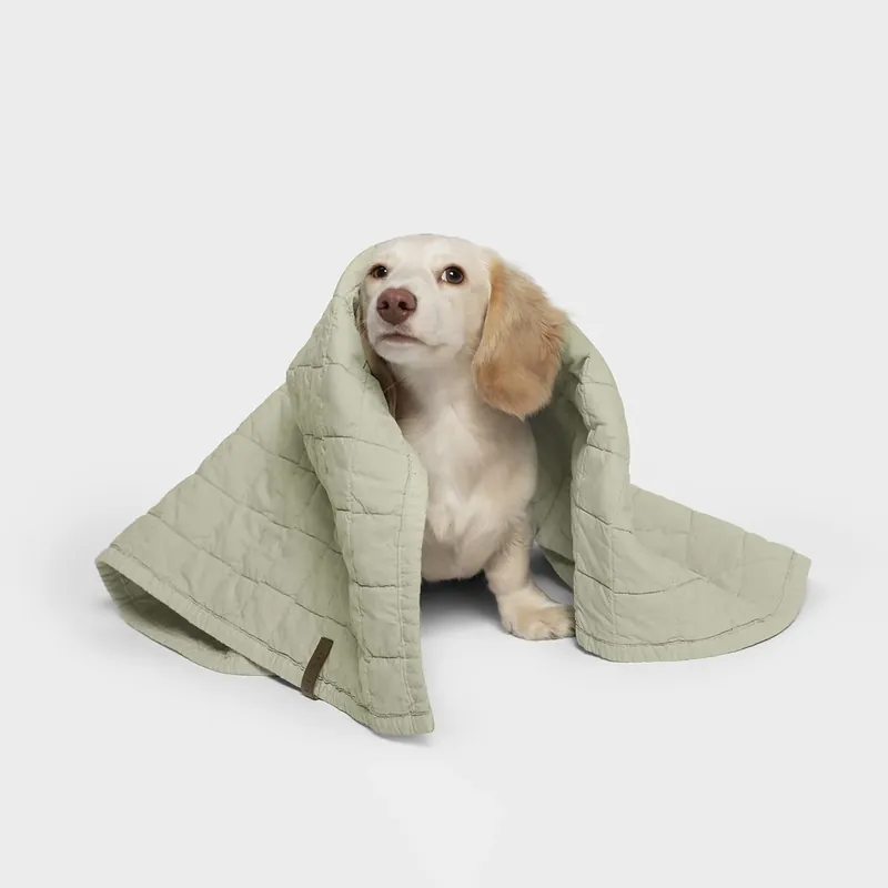 CLOUD7 Hundedecke LTTL Faded Moss M Super-Preis