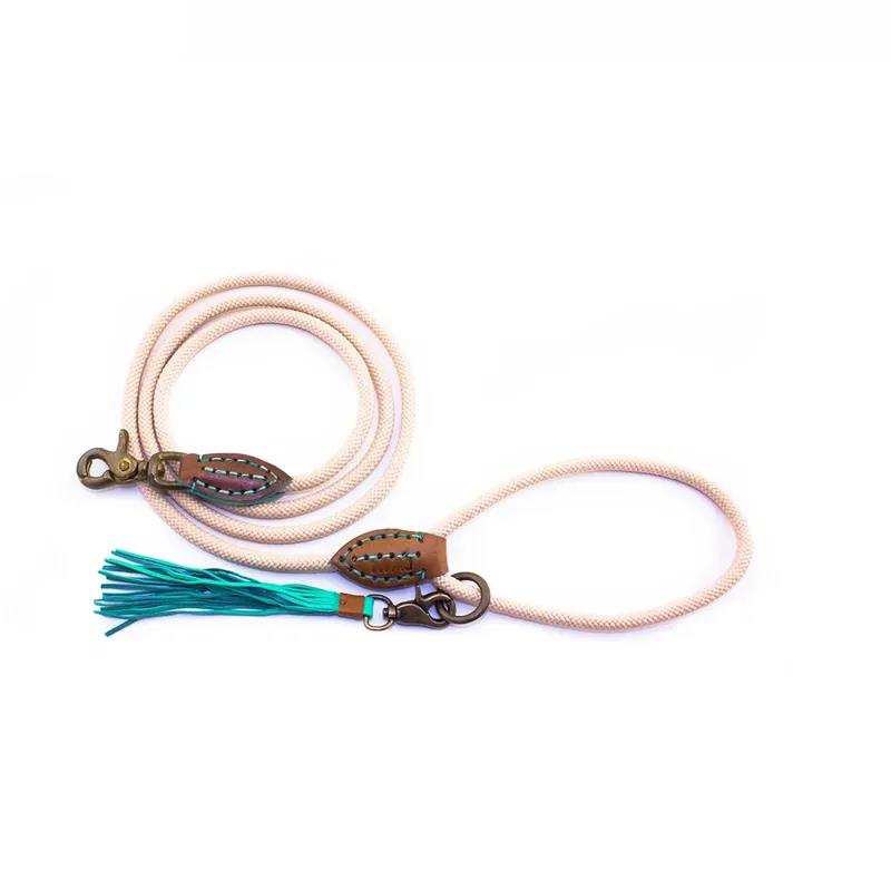 Saisonangebot DWAM Hundeleine Nylon Sand S