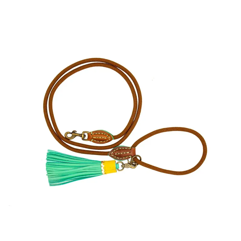 DWAM Hundeleine Rover S Saisonangebot