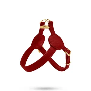 Neue Kollektion MALUCCHI Geschirr Movie Bordeaux Gold 0