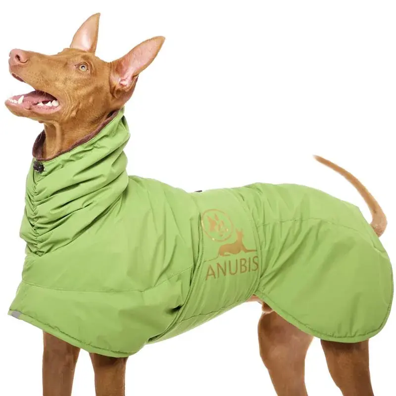 Sofa Dog Wear Hundemantel Anubis Grün S2 Mega-Angebot