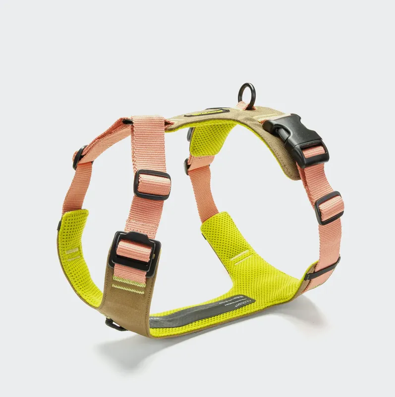CLOUD7 Y-2 Geschirr AKTIV Cordura Peach XXS Knallerangebot